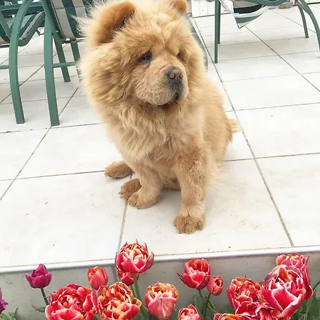 Beth Soureilh Adults Only