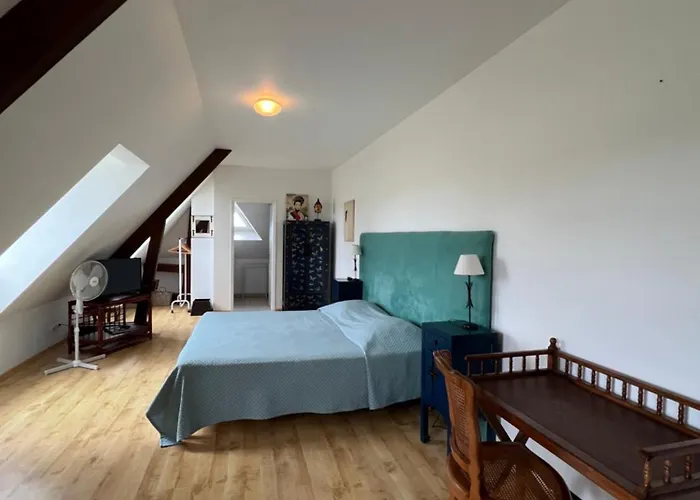 Beth Soureilh Adults Only Coarraze