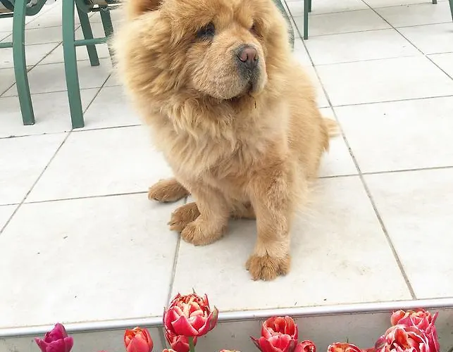 Beth Soureilh Adults Only